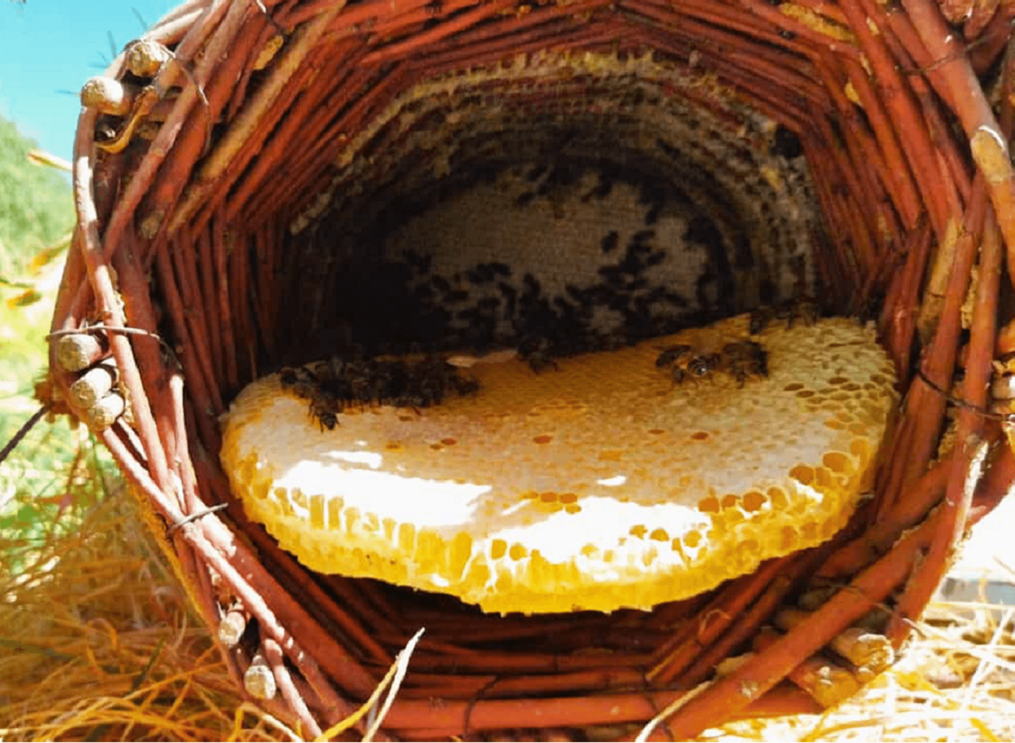 Ramazan Bereketi Paketi Sepet (Yaban) - Görsel 3